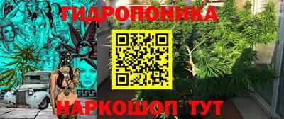 ГАЛЛЮЦИНОГЕННЫЕ ГРИБЫ Заводоуковск