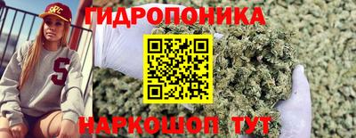 ГАЛЛЮЦИНОГЕННЫЕ ГРИБЫ Заводоуковск