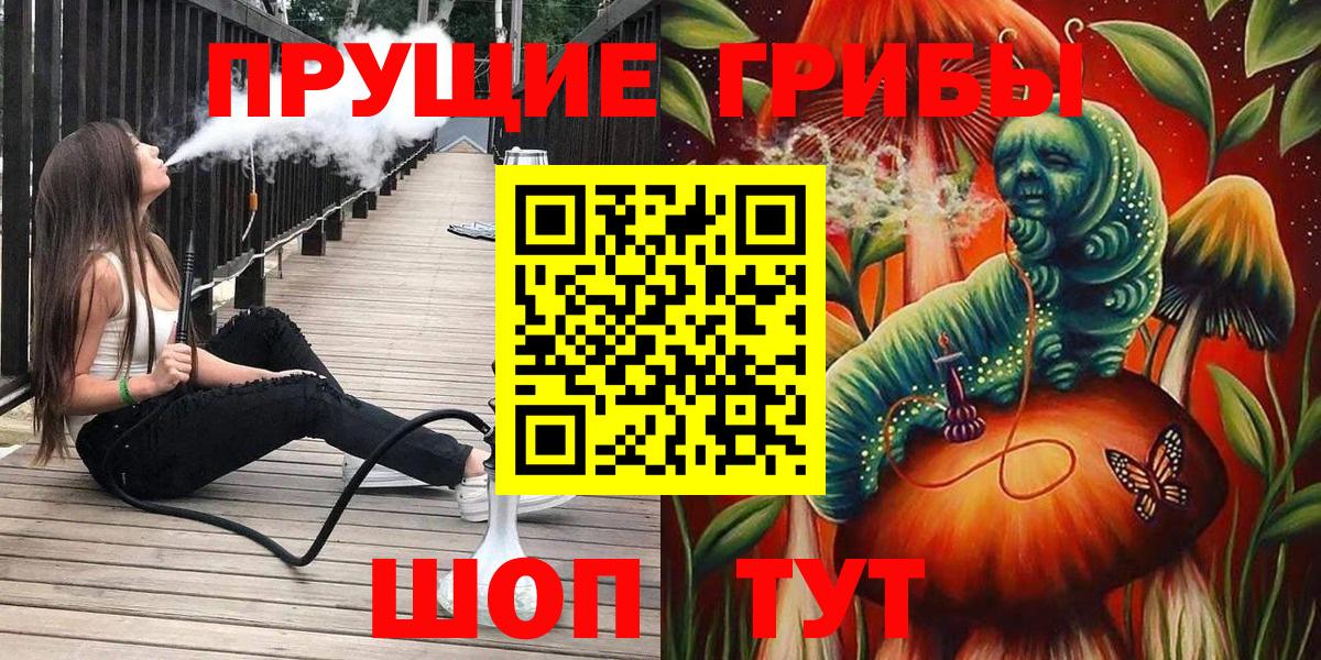 купить  сайты  Галлюциногенные грибы прущие грибы  Псилоцибиновые грибы Psilocybe  Вход с VPN  Майкоп 