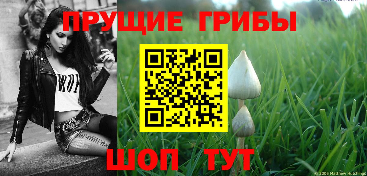 Псилоцибиновые грибы мицелий Майкоп